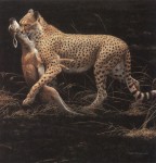 Гепард с добычей