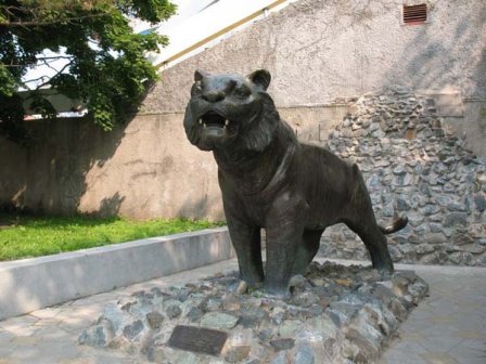 Памятник уссурийскому тигру (фото)