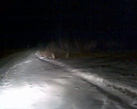 	Зима в Приморье: три тигренка остались без матери