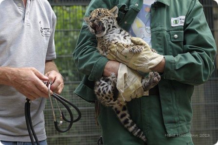     Krefeld Zoo