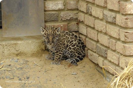     Krefeld Zoo