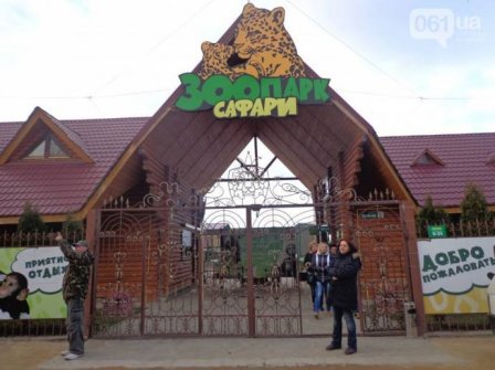 В зоопарке Бердянска поселился первый легальный гепард Украины