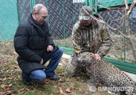 Президент навестил сочинских леопардов