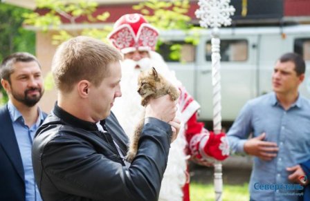 Хоккеисты клуба "Северсталь" взяли шефство над рысенком в зоопарке вотчины Деда Мороза