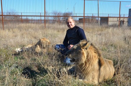 У спасенной львицы Лолы в крымском зоопарке появился свой прайд